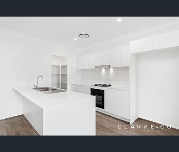 19 Anston Street, Farley, NSW 2320 - Photo 5