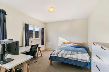 Spacious Sunny home in Lyall Bay - Photo 3