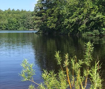 Gamla byvägen, Immeln - Photo 3