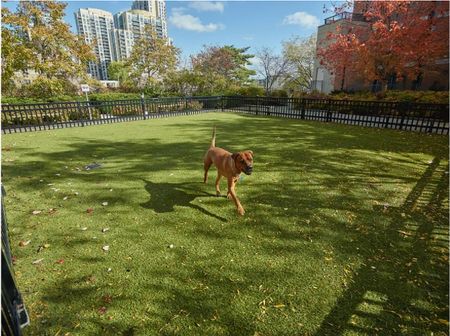 For Lease - 5191 Dundas Street Unit# 707, Toronto, Ontario - Photo 5