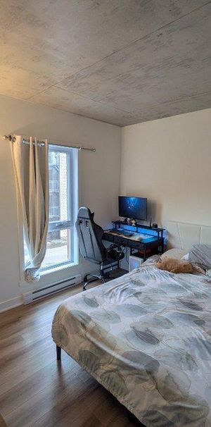 Beau logement tout inclus – Gym + électroménagers – 1er avril - Photo 1