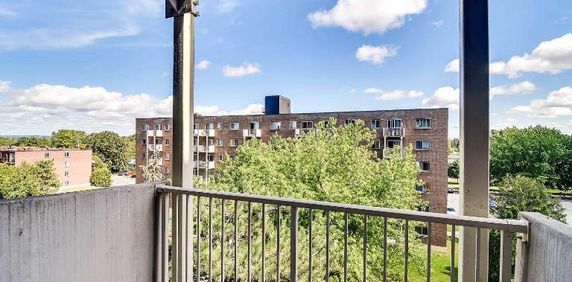 Studio - Gatineau - $1,295 /mo - Photo 2