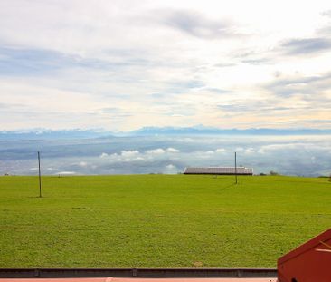 Appartement de 3 pces avec belle vue sur les Alpes - Photo 3