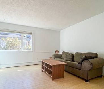 1 bed 1 bath in Mount Pleasant - Photo 4