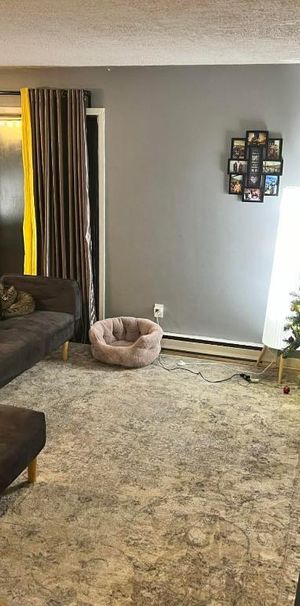 grand 4 1/2 près du métro Montmorency - Photo 1