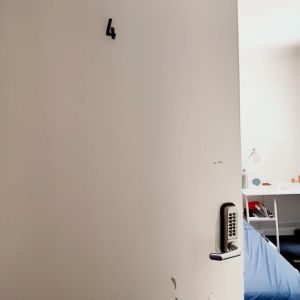 319 Cleveland Redfern, Sydney - Photo 3