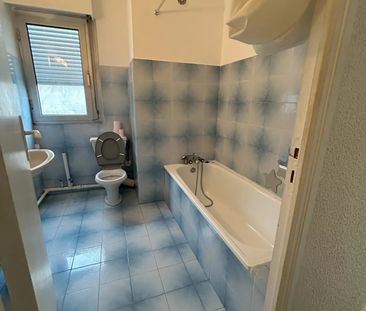 Location Appartement 1 pièce 29m² PIETRANERA 20200 - Photo 5