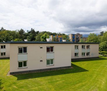 Campuslaan, 35 - Photo 2