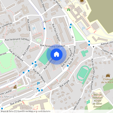 9 RUE GUSTAVE COURBET, 42100, St Etienne