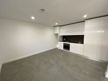 37 Grove Street, St Peters NSW 2044 - House For Rent | Domain - Photo 3