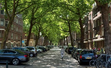 Te huur: Appartement Graaf Florisstraat in Rotterdam - Photo 2