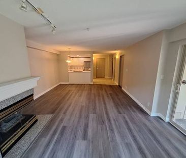 Spacious NEWLY Renovated 1 Bedroom with Private Terrace - Photo 2