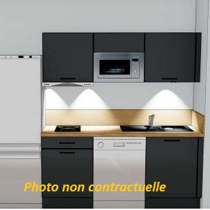 Location Appartement 2 pièces 46m² NANTES 44200 - Photo 1
