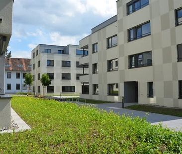 2.5 Zimmer, EG - Photo 6