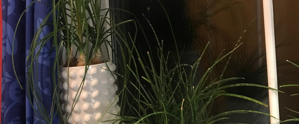 Västra Gatan, Kungälv - Foto 1