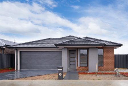 29 Jessup Street, Huntly - Photo 5