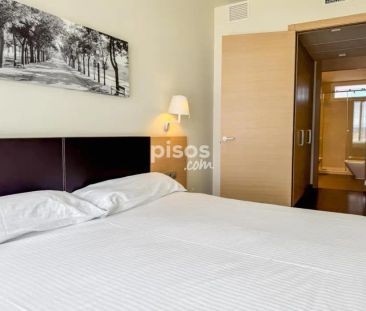 Piso en alquiler en Calle de Uleta - Photo 4