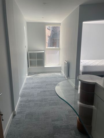 1 Bed Flat, Green Lane, S3 - Photo 5