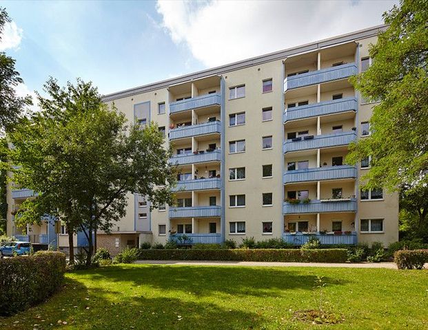 Modernisierte Seniorenwohnung mit Balkon - Anmietung ab 60+ - Foto 1
