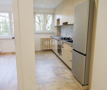 Szczecin, Książąt Pomorskich - Zdjęcie 2