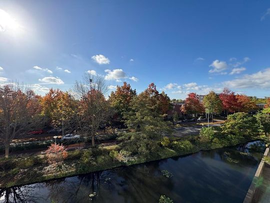 Kempenlaan 53 1066 PX Amsterdam - Photo 1