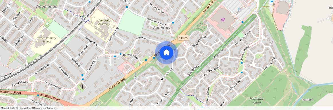 Benet Close, Thetford, IP24