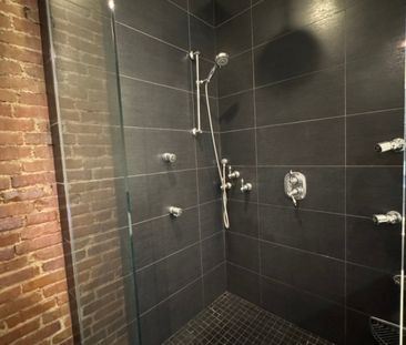 Appartement à louer - Montréal (Le Plateau-Mont-Royal) (Le Plateau-... - Photo 4