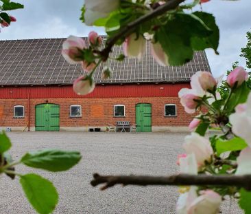 Olma Gård, Svalöv - Photo 5
