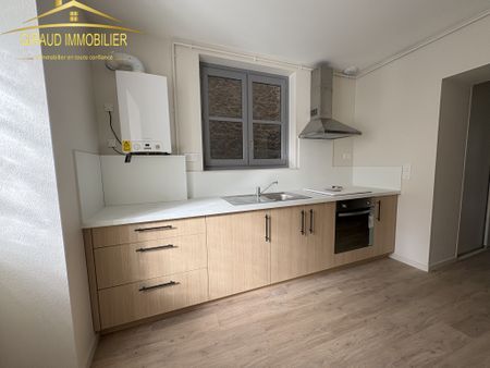 Location Appartement 3 pièces 69m² CHARLIEU 42190 - Photo 4
