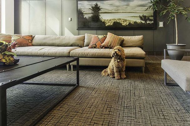 185 Lyon Street North, Centretown, Ottawa, ON - Photo 1