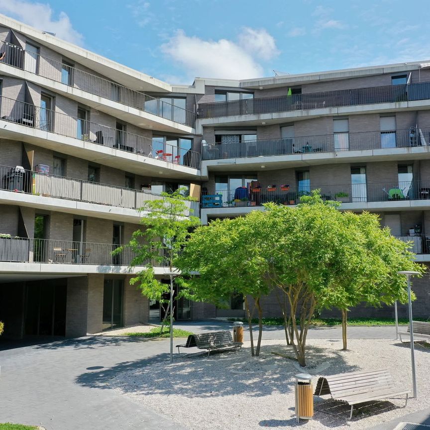 3 Zimmer, 66 m², 3. Stock - Photo 2