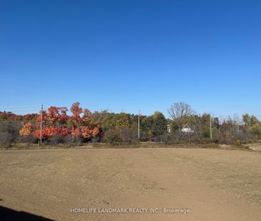 For Lease - 29 Millman Lane, Richmond Hill, Ontario - Photo 6