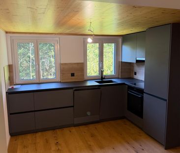 Charmante, frisch renovierte Wohnung im Grünen - Foto 2