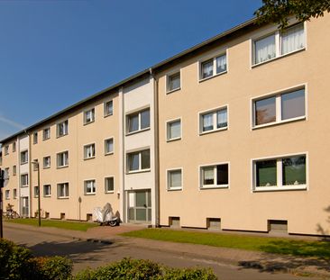 2.5-Zimmer-Wohnung in Recklinghausen-Süd mieten - Foto 4