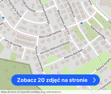 Dom wolnostojący - Suchy Dwór - Zdjęcie 1