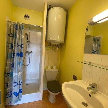 Location Appartement 1 pièce 19m² TOURS 37000 - Photo 3