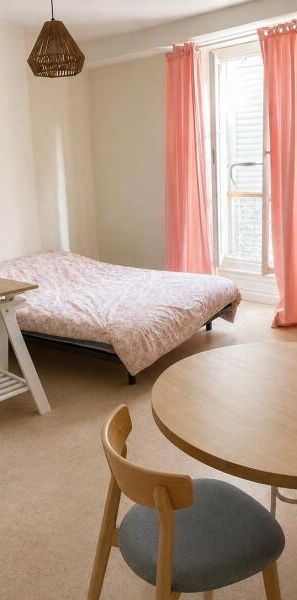 Location Appartement 1 pièce 27m² ORLEANS 45000 - Photo 1