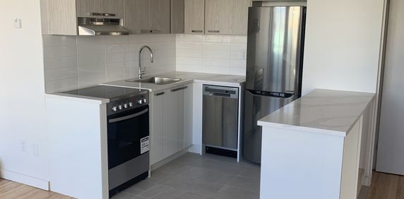 Camelia Court - Photo 2