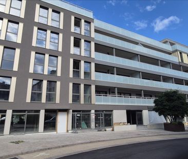 Appartement - Photo 2