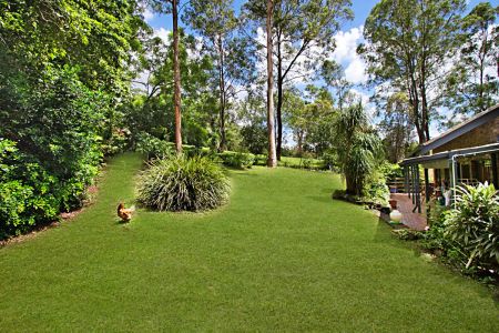 27 Marney Street, Chapel Hill QLD 4069 - Photo 4