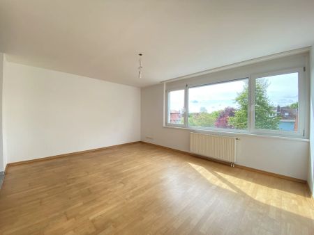 RUHELAGE + SONNIG + TOPLAGE in NUSSDORF! - Photo 3