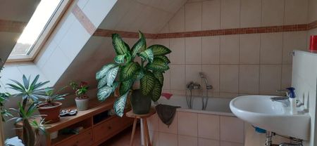 2-Etagen-Wohnung mit Garten in Stadtfeld West - Photo 3