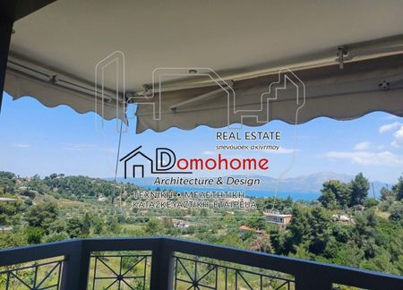 Διαμέρισμα για ενοικίαση Κέντρο Μαρκόπουλου Ωρωπού (Μαρκόπουλο Ωρωπού) - Photo 5