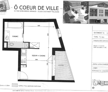 Location Appartement 1 pièce 30m² CASTANET TOLOSAN 31320 - Photo 6