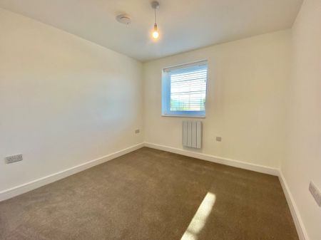 71 Swain Court - Photo 2