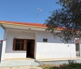Μονοκατοικία για ενοικίαση - Ελασσόνα, - Φωτογραφία 6