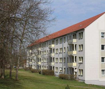 Robert-Zahn-Weg 9, 08529 Plauen - Foto 1