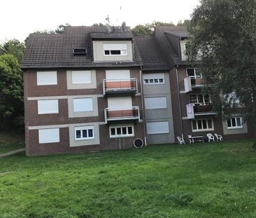 loue T3 avec balcon au cœur de la nature à Oderen - Photo 2