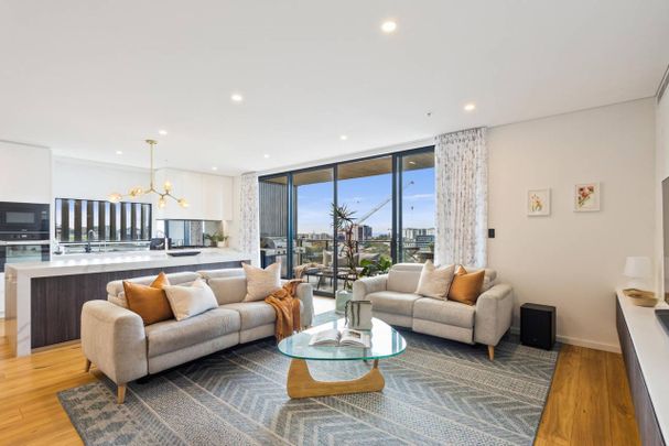 Luxurious "Onyx" Sub Penthouse - Photo 1