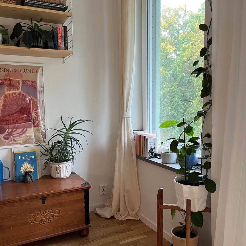 Ruben Holmströms gata 2, Sege Park - Photo 1